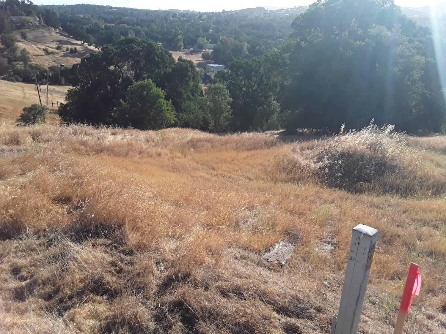 7810 Gabor Street, Valley Springs, California 95252, ,Land,For Sale,Gabor,2007560