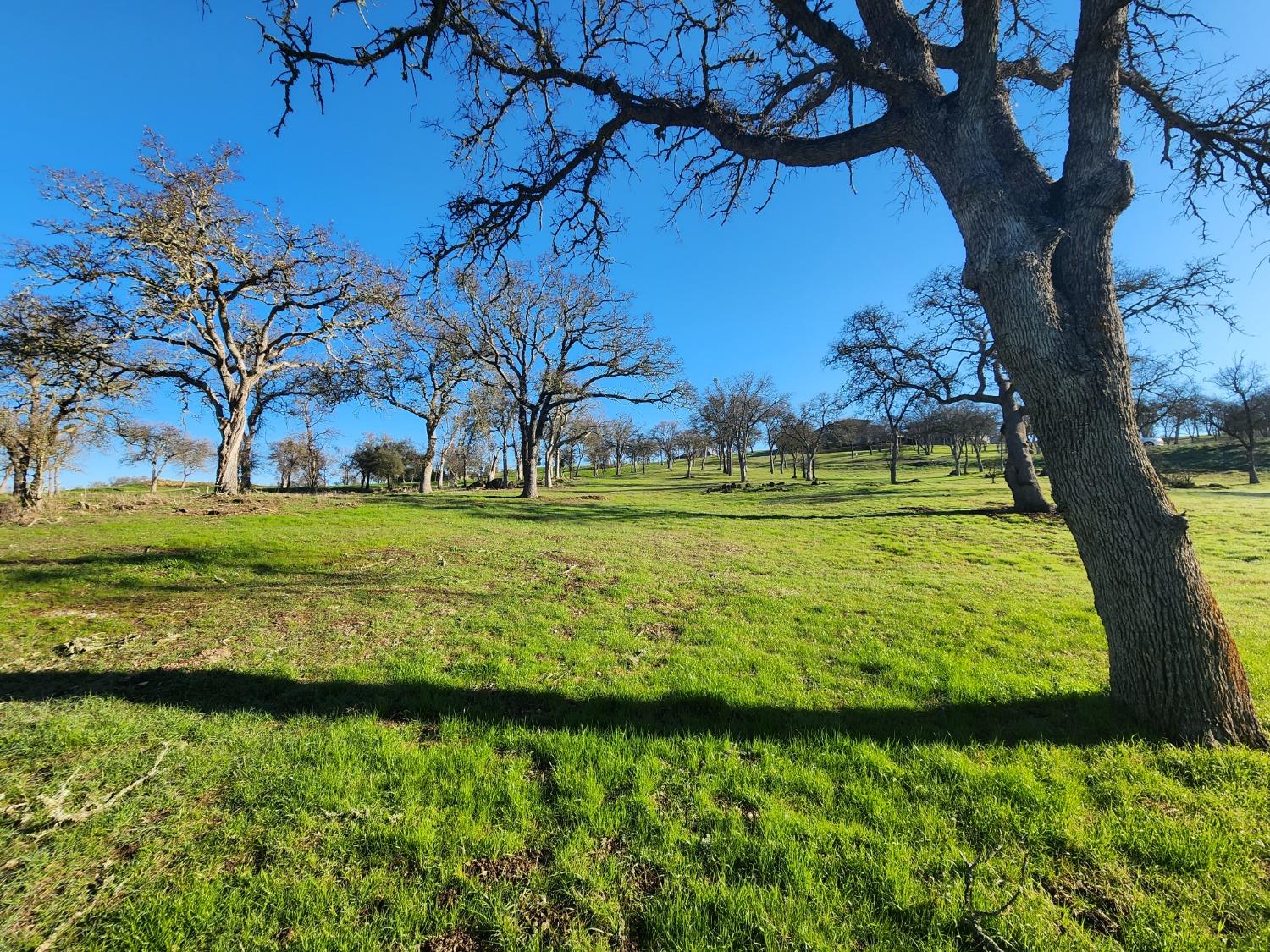 1013 Knolls Drive, Copperopolis, California 95228, ,Land,For Sale,Knolls,202300096