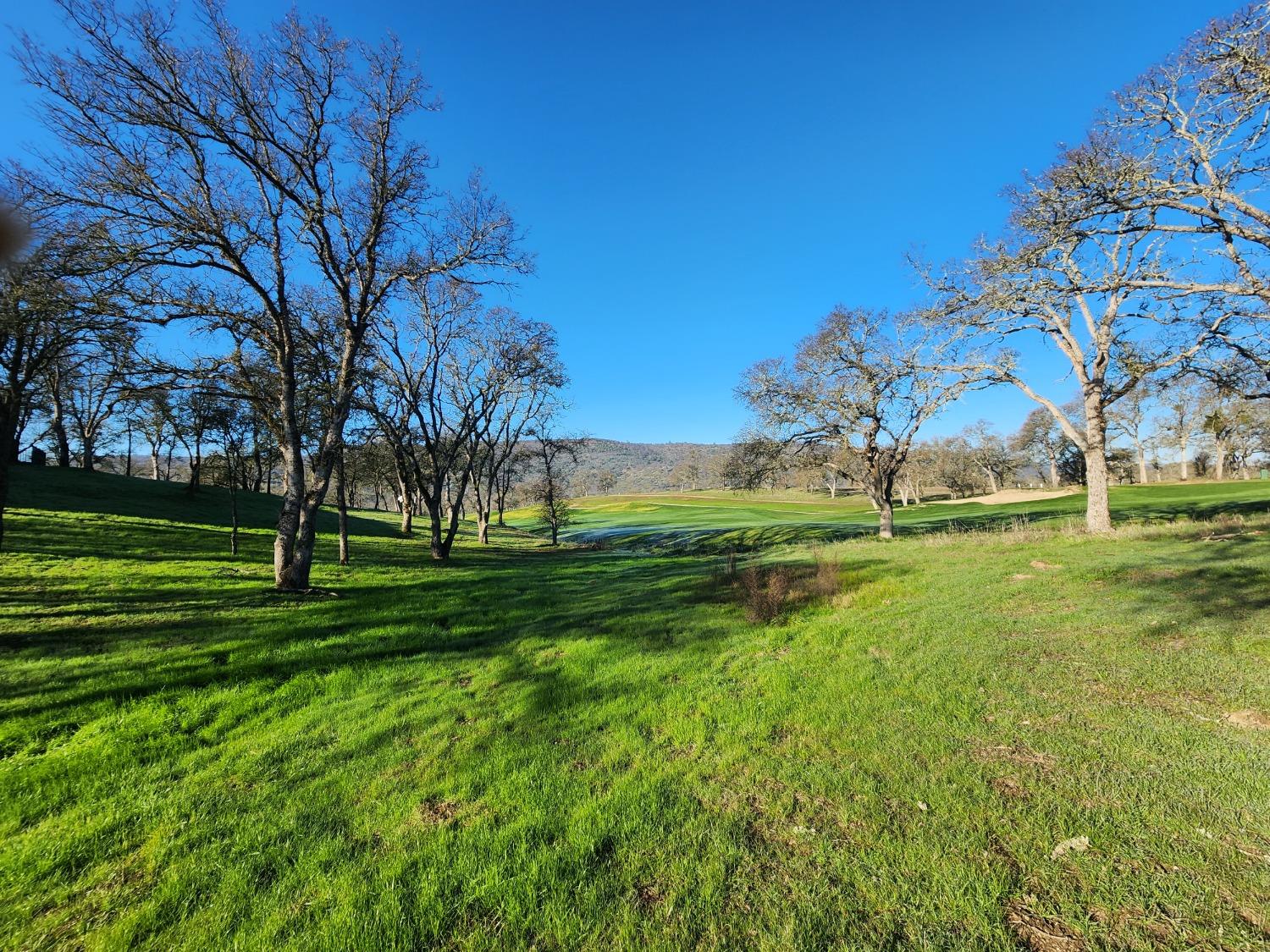 1013 Knolls Drive, Copperopolis, California 95228, ,Land,For Sale,Knolls,202300096