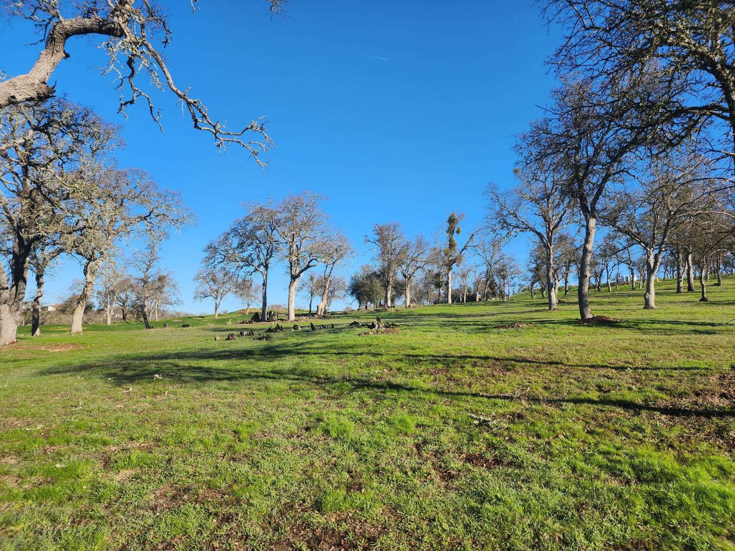 1013 Knolls Drive, Copperopolis, California 95228, ,Land,For Sale,Knolls,202300096