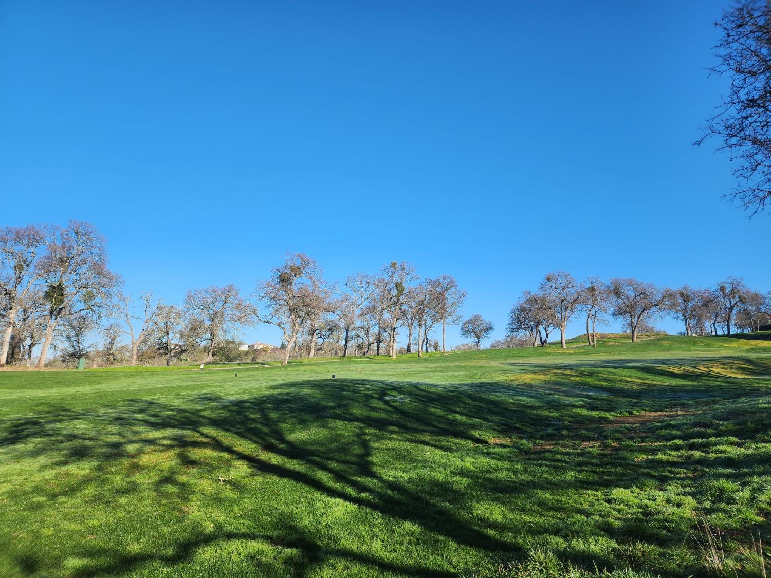 1013 Knolls Drive, Copperopolis, California 95228, ,Land,For Sale,Knolls,202300096