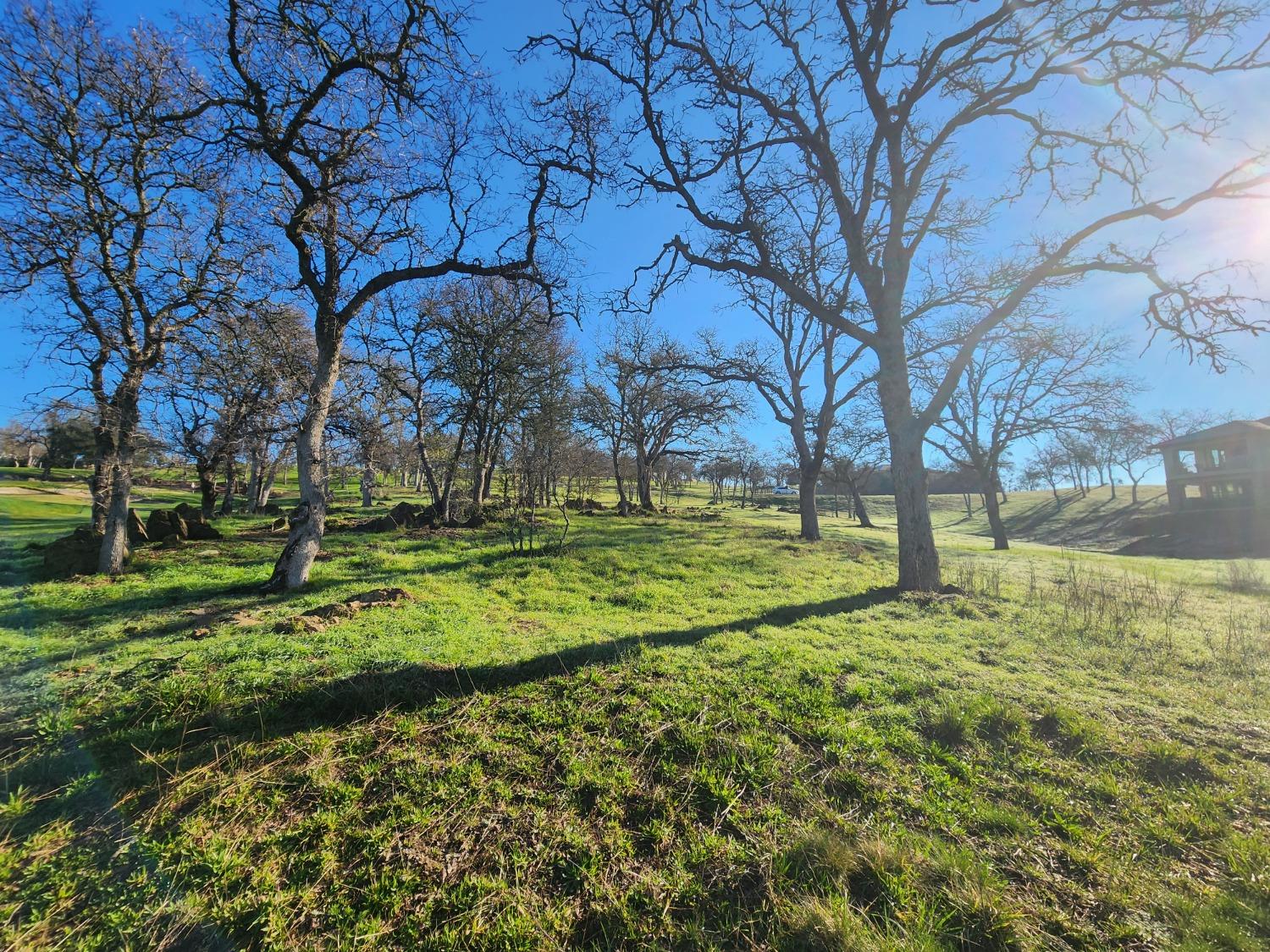 1013 Knolls Drive, Copperopolis, California 95228, ,Land,For Sale,Knolls,202300096