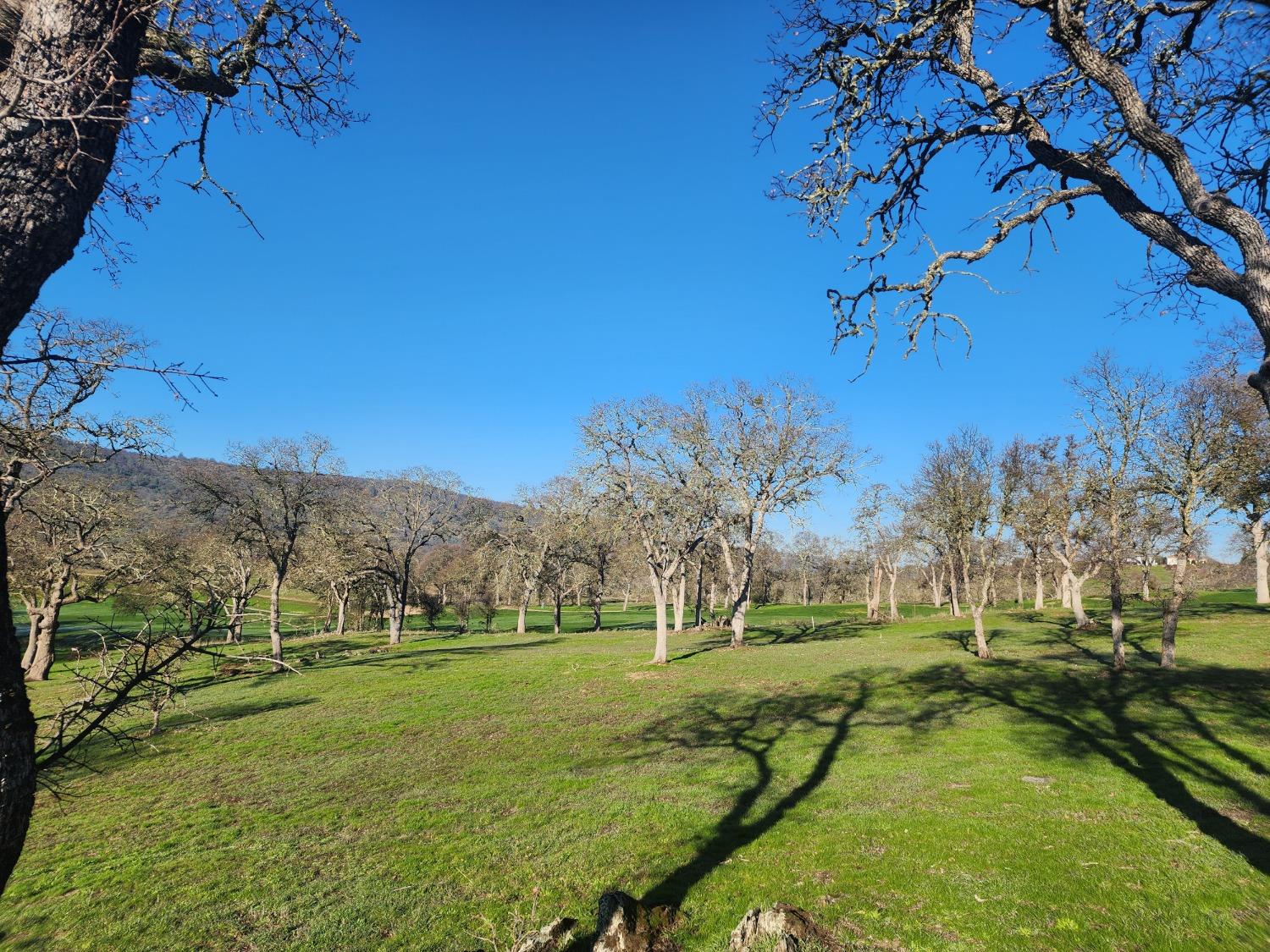 1013 Knolls Drive, Copperopolis, California 95228, ,Land,For Sale,Knolls,202300096