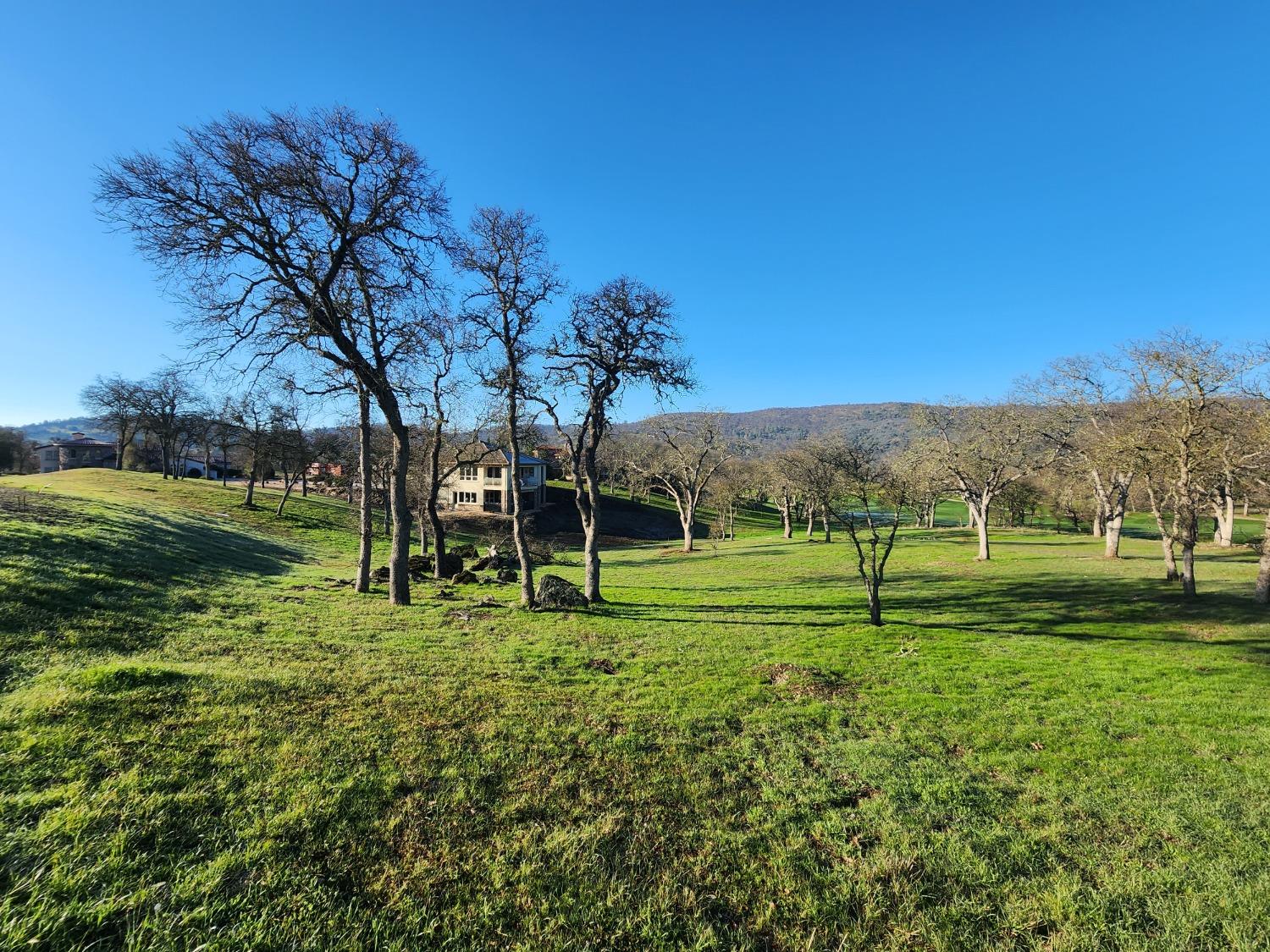 1013 Knolls Drive, Copperopolis, California 95228, ,Land,For Sale,Knolls,202300096