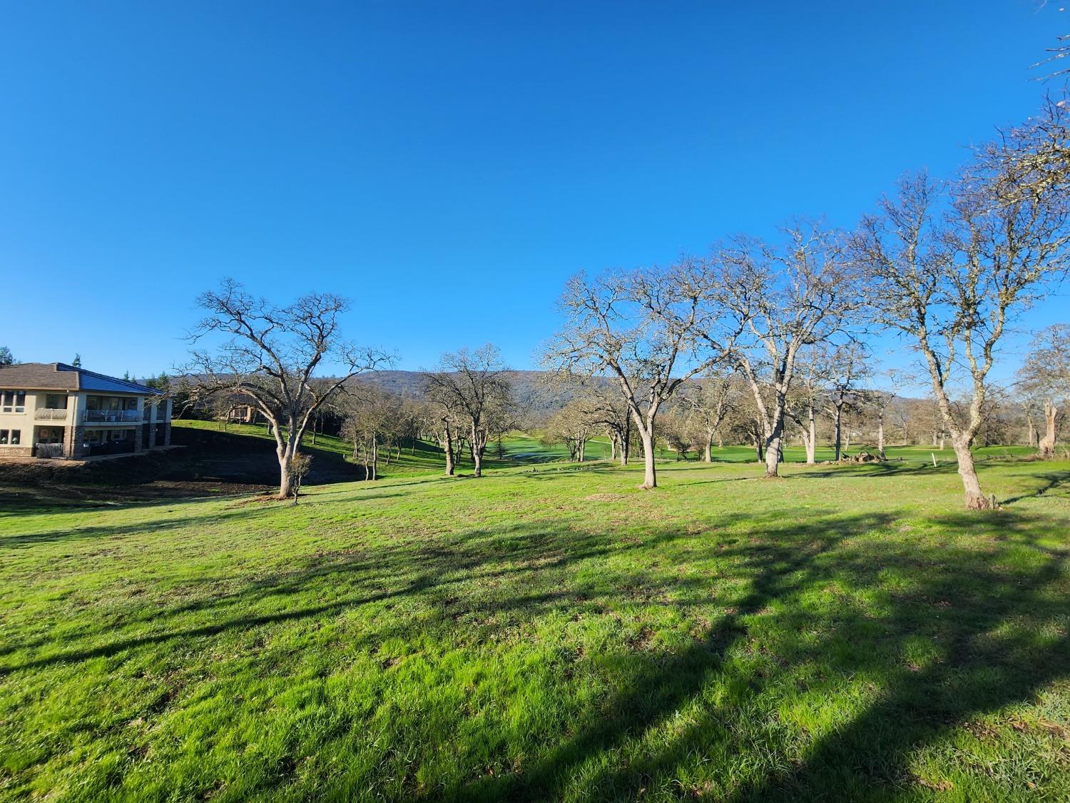 1013 Knolls Drive, Copperopolis, California 95228, ,Land,For Sale,Knolls,202300096