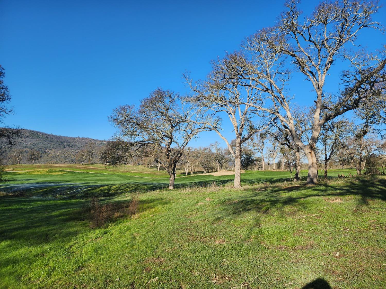 1013 Knolls Drive, Copperopolis, California 95228, ,Land,For Sale,Knolls,202300096