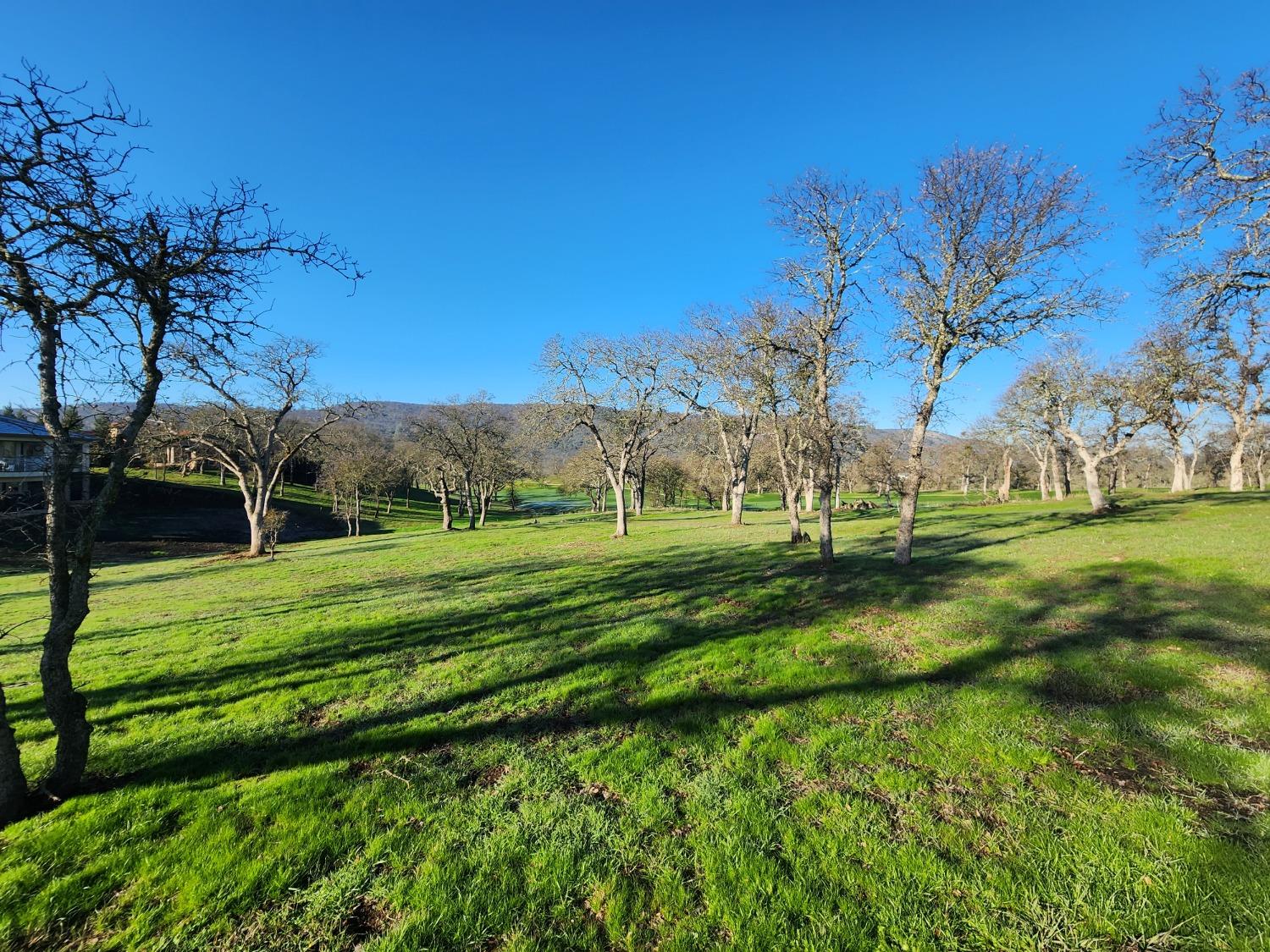 1013 Knolls Drive, Copperopolis, California 95228, ,Land,For Sale,Knolls,202300096