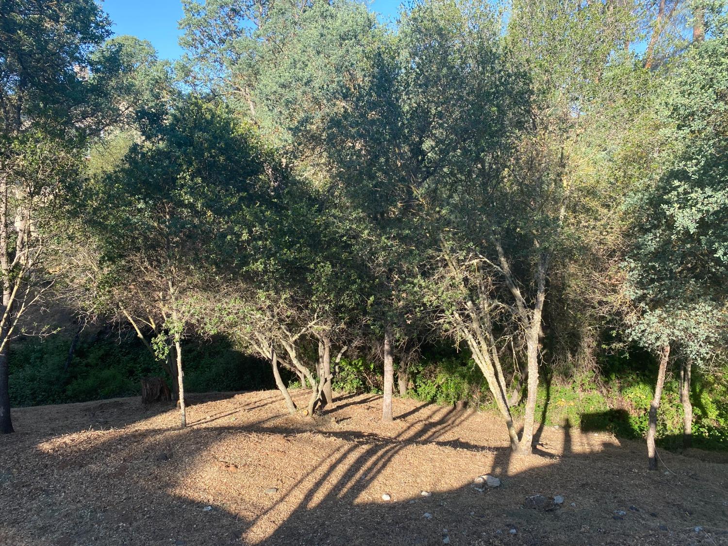 108 Poker Flat Road, Copperopolis, California 95228, ,Land,For Sale,Poker Flat,202300151