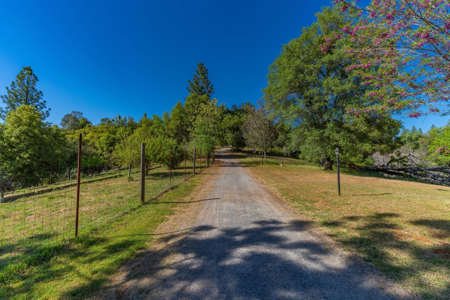 1551 John Dear Road, Mokelumne Hill, California 95245, 3 Bedrooms Bedrooms, ,2 BathroomsBathrooms,Residential,For Sale,John Dear,202300155