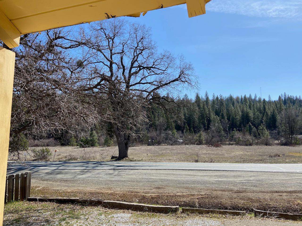 25321 State Highway 88, Pioneer, California 95666, ,Residential Income,For Sale,State Highway 88,202300274