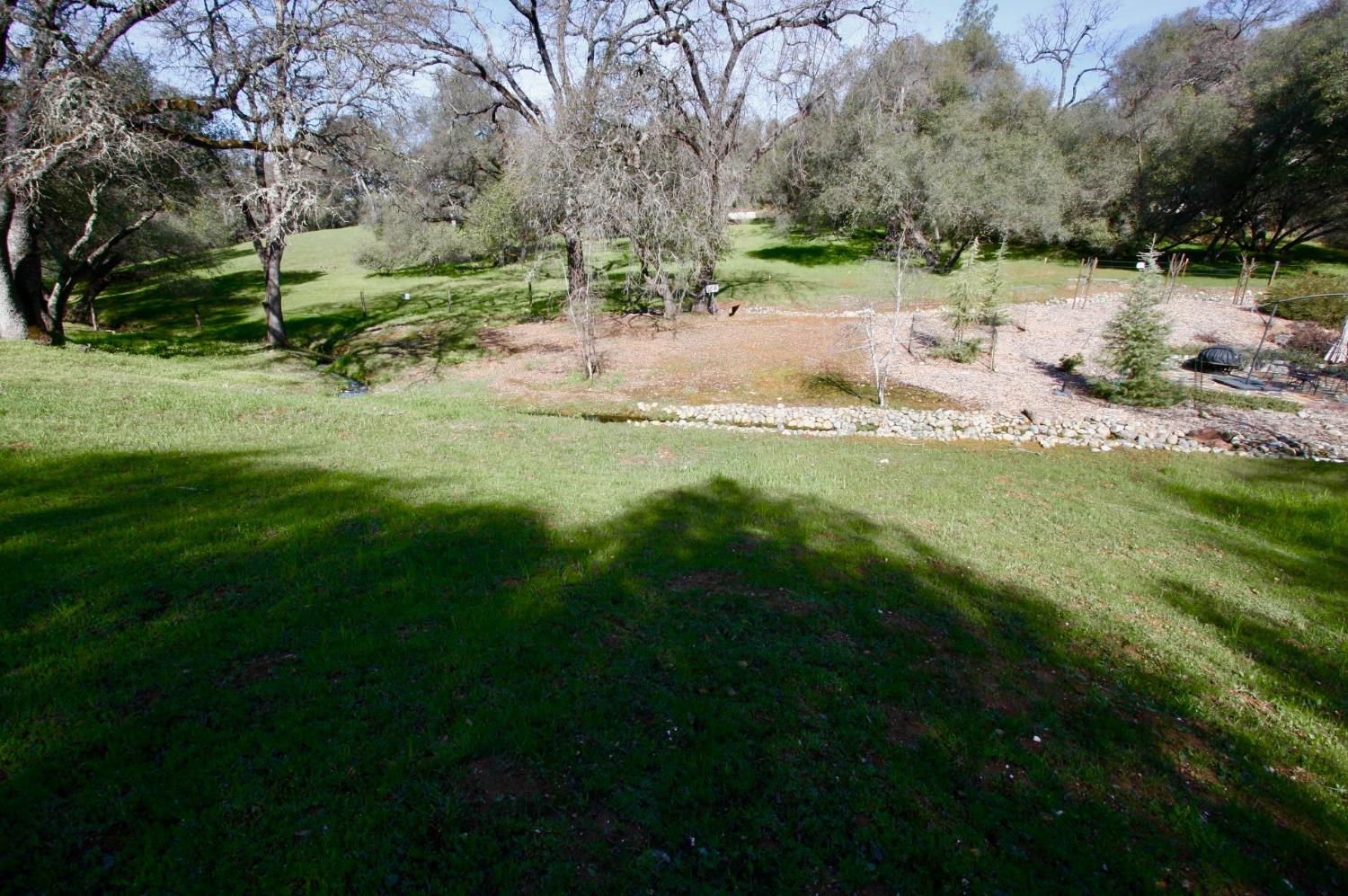 316 Mill Ct, Angels Camp, California 95222, ,Land,For Sale,Mill Ct,202300295