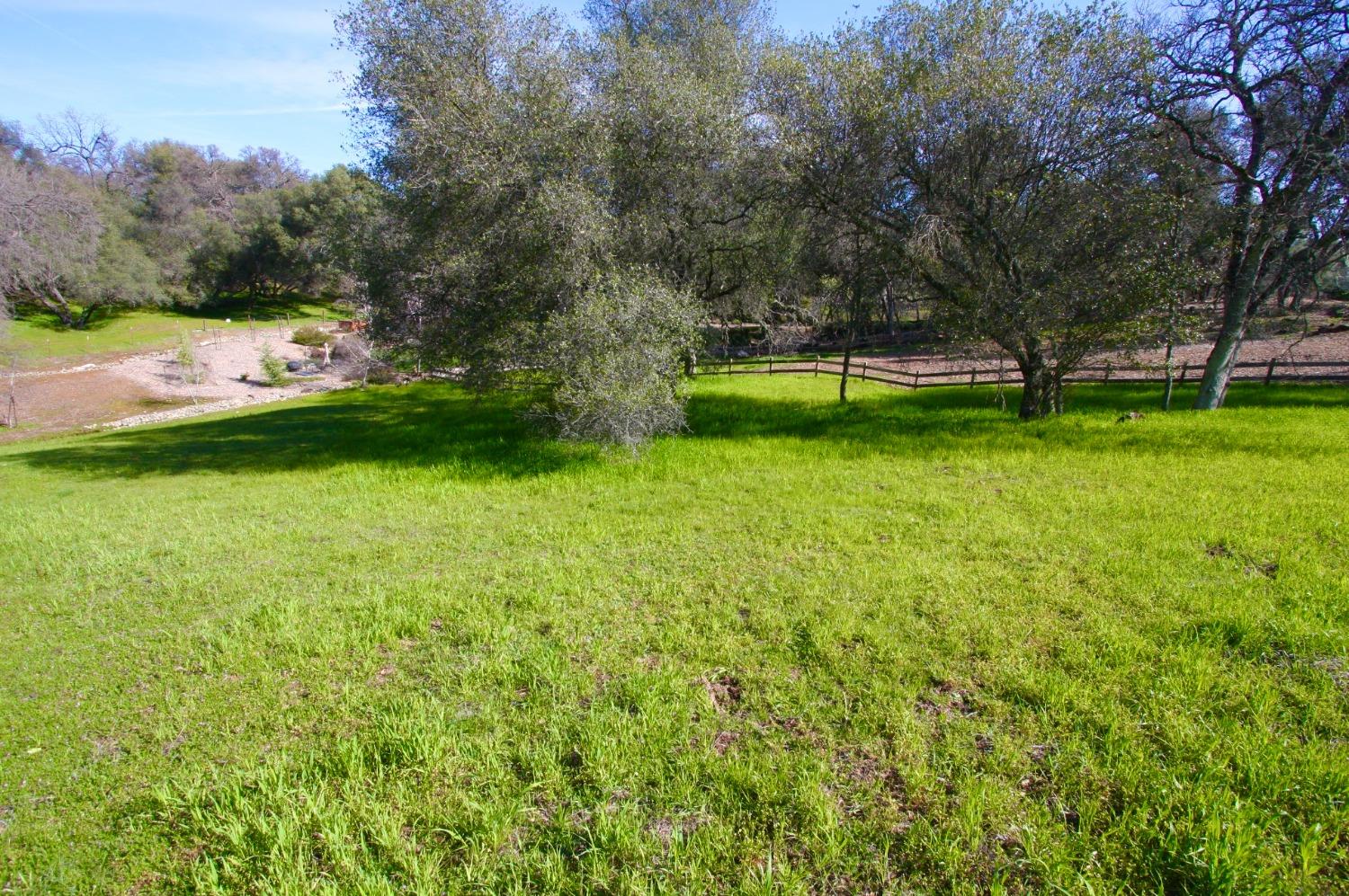 316 Mill Ct, Angels Camp, California 95222, ,Land,For Sale,Mill Ct,202300295