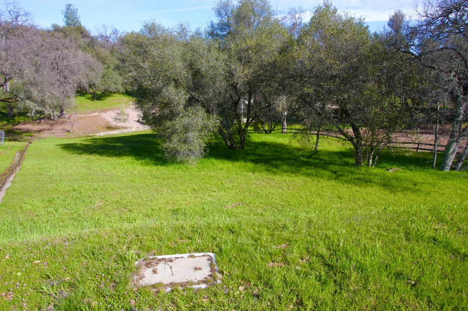 316 Mill Ct, Angels Camp, California 95222, ,Land,For Sale,Mill Ct,202300295