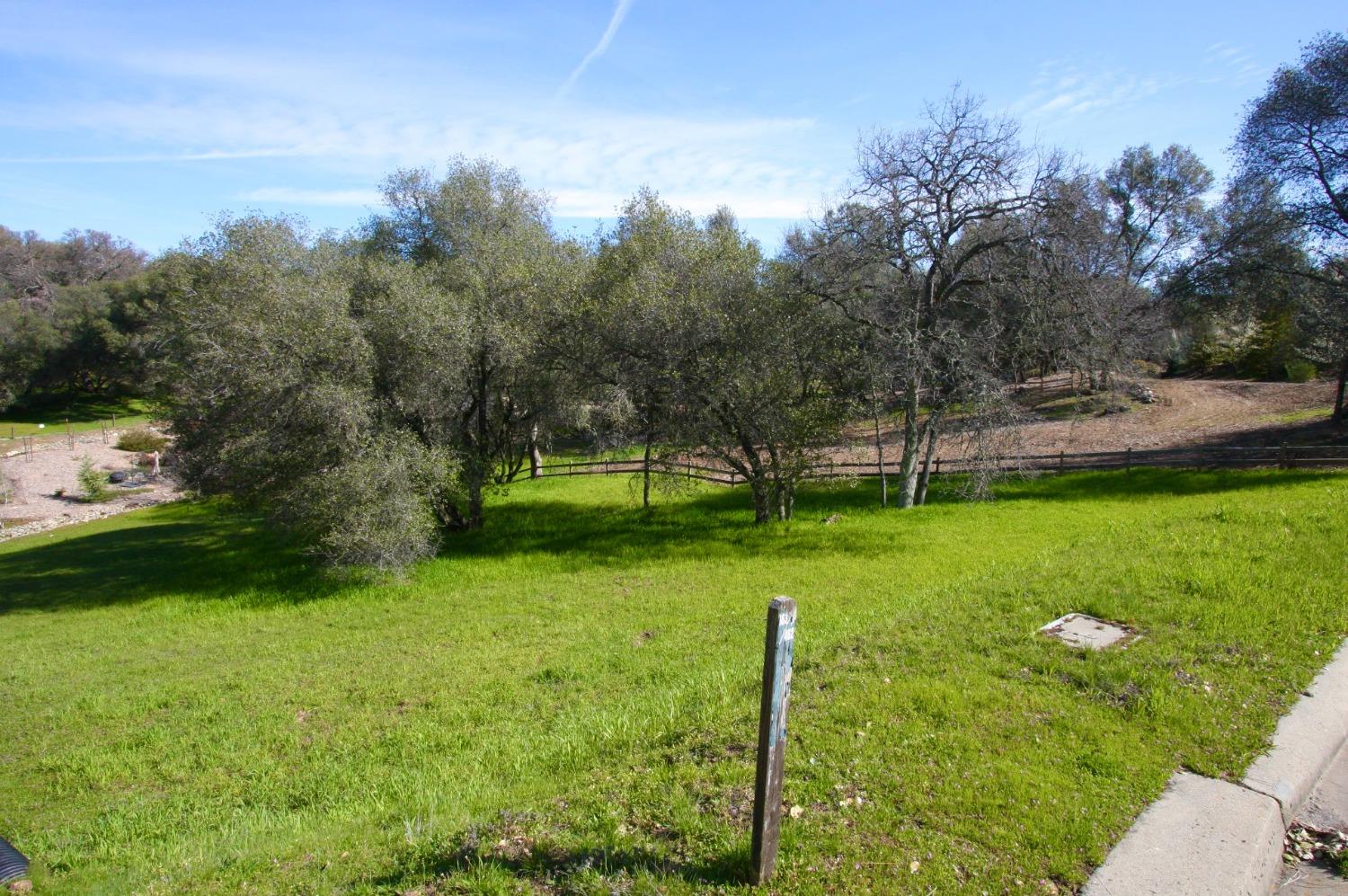 316 Mill Ct, Angels Camp, California 95222, ,Land,For Sale,Mill Ct,202300295