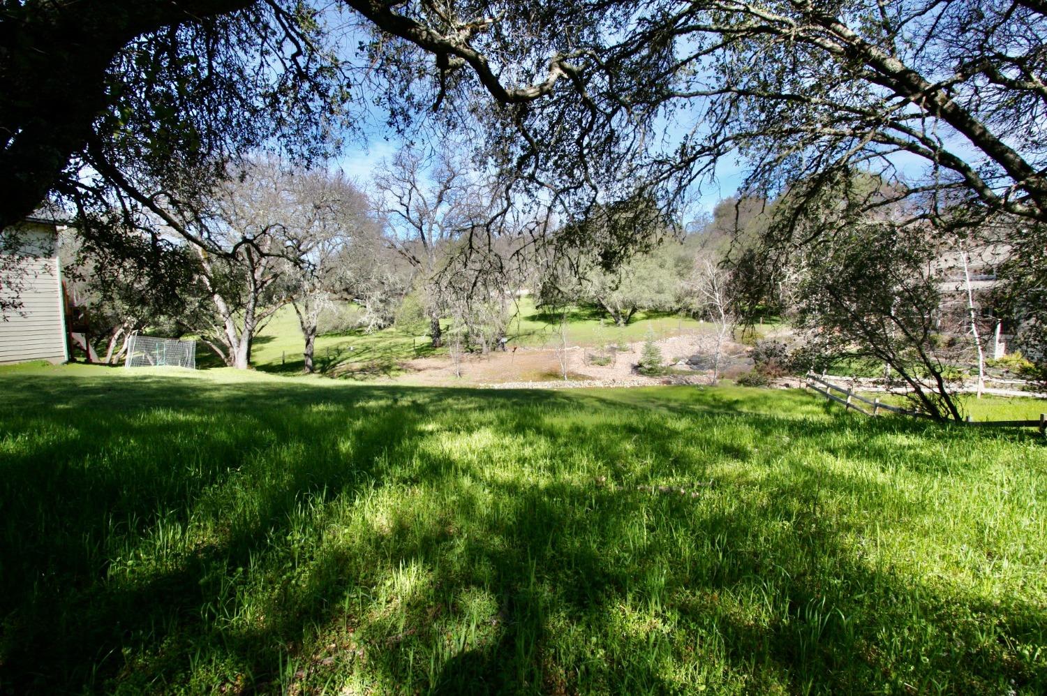 316 Mill Ct, Angels Camp, California 95222, ,Land,For Sale,Mill Ct,202300295