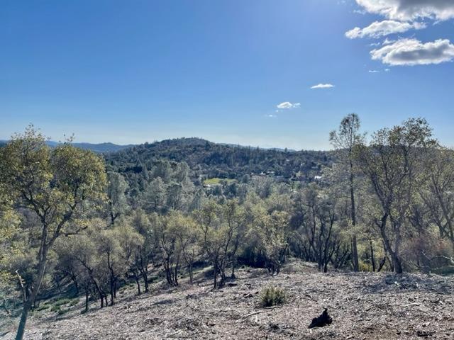 0 Woodland Drive, Murphys, California 95247, ,Land,For Sale,Woodland Drive,202300320