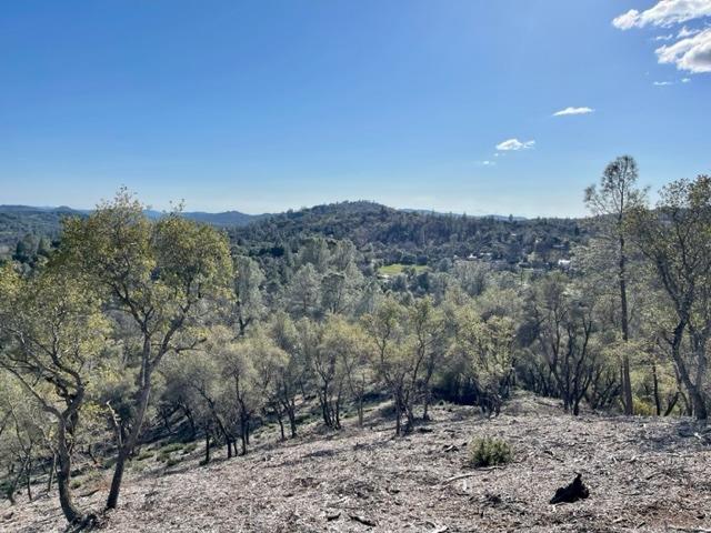 0 Woodland Drive, Murphys, California 95247, ,Land,For Sale,Woodland Drive,202300320