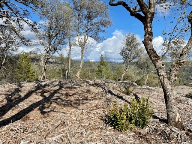 0 Woodland Drive, Murphys, California 95247, ,Land,For Sale,Woodland Drive,202300320