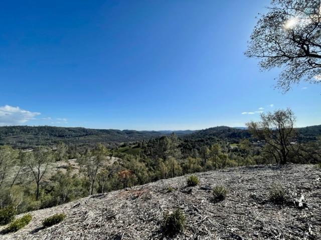 0 Woodland Drive, Murphys, California 95247, ,Land,For Sale,Woodland Drive,202300320