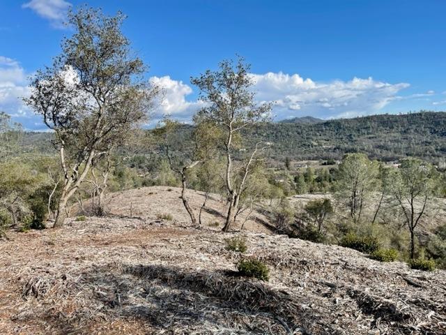 0 Woodland Drive, Murphys, California 95247, ,Land,For Sale,Woodland Drive,202300320