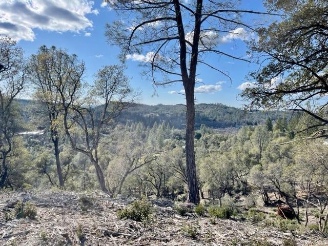 0 Woodland Drive, Murphys, California 95247, ,Land,For Sale,Woodland Drive,202300320