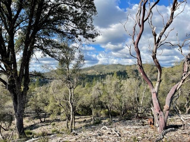 0 Woodland Drive, Murphys, California 95247, ,Land,For Sale,Woodland Drive,202300320