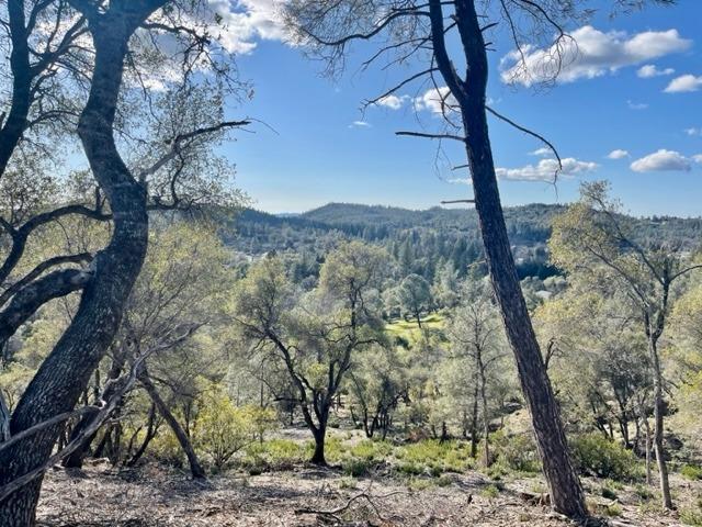 0 Woodland Drive, Murphys, California 95247, ,Land,For Sale,Woodland Drive,202300320