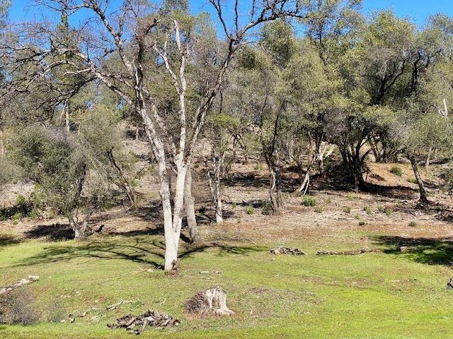 0 Woodland Drive, Murphys, California 95247, ,Land,For Sale,Woodland Drive,202300320