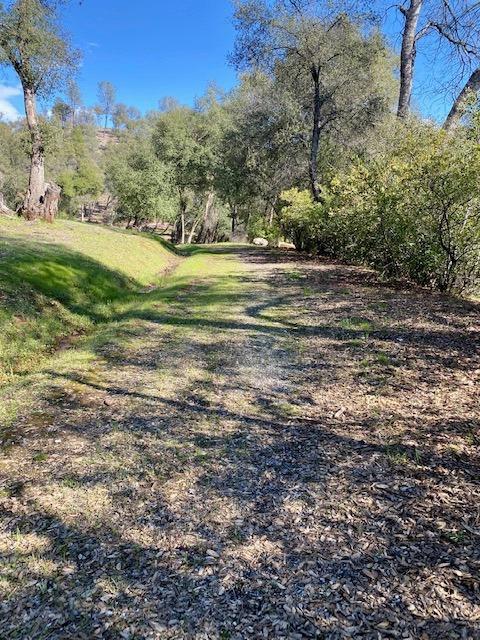 0 Woodland Drive, Murphys, California 95247, ,Land,For Sale,Woodland Drive,202300320