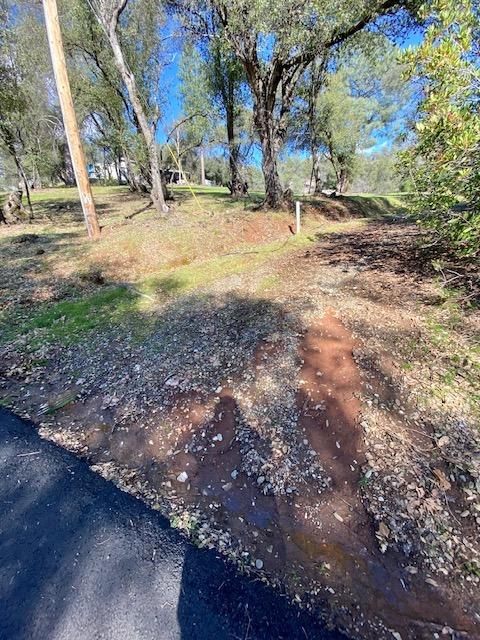 0 Woodland Drive, Murphys, California 95247, ,Land,For Sale,Woodland Drive,202300320