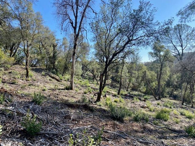 0 Woodland Drive, Murphys, California 95247, ,Land,For Sale,Woodland Drive,202300320