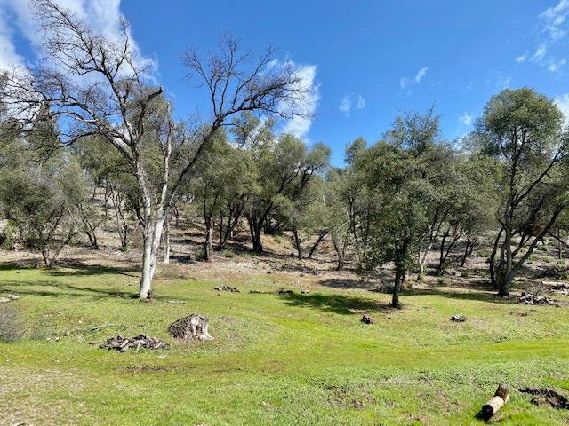 0 Woodland Drive, Murphys, California 95247, ,Land,For Sale,Woodland Drive,202300320