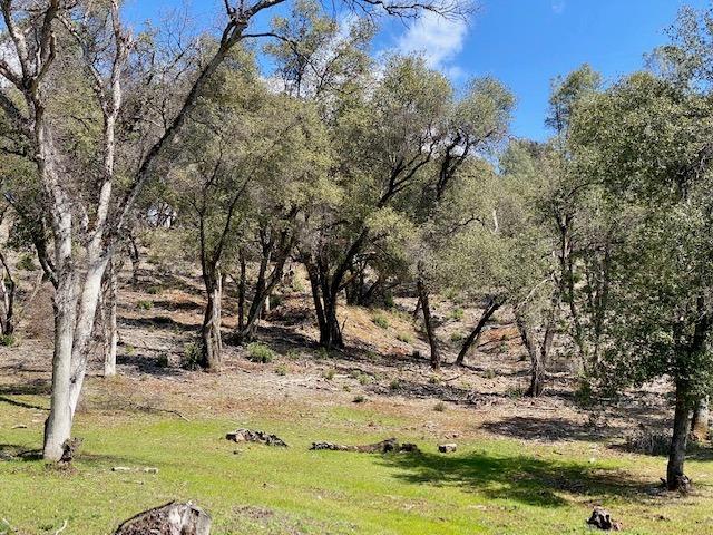 0 Woodland Drive, Murphys, California 95247, ,Land,For Sale,Woodland Drive,202300320