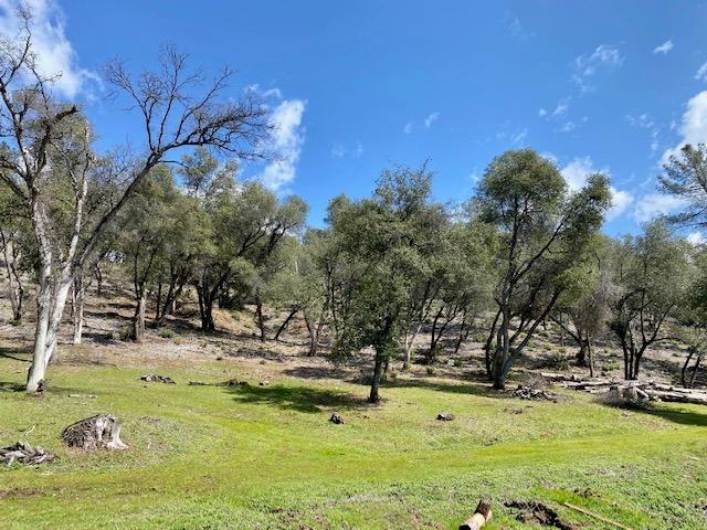 0 Woodland Drive, Murphys, California 95247, ,Land,For Sale,Woodland Drive,202300320