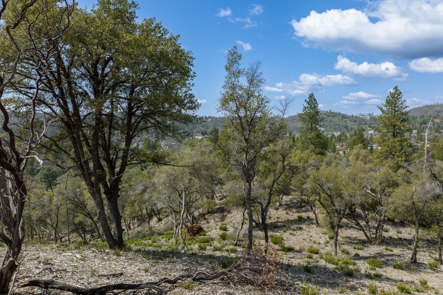 0 Woodland Drive, Murphys, California 95247, ,Land,For Sale,Woodland Drive,202300320