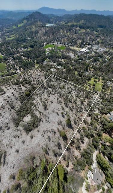 0 Woodland Drive, Murphys, California 95247, ,Land,For Sale,Woodland Drive,202300320