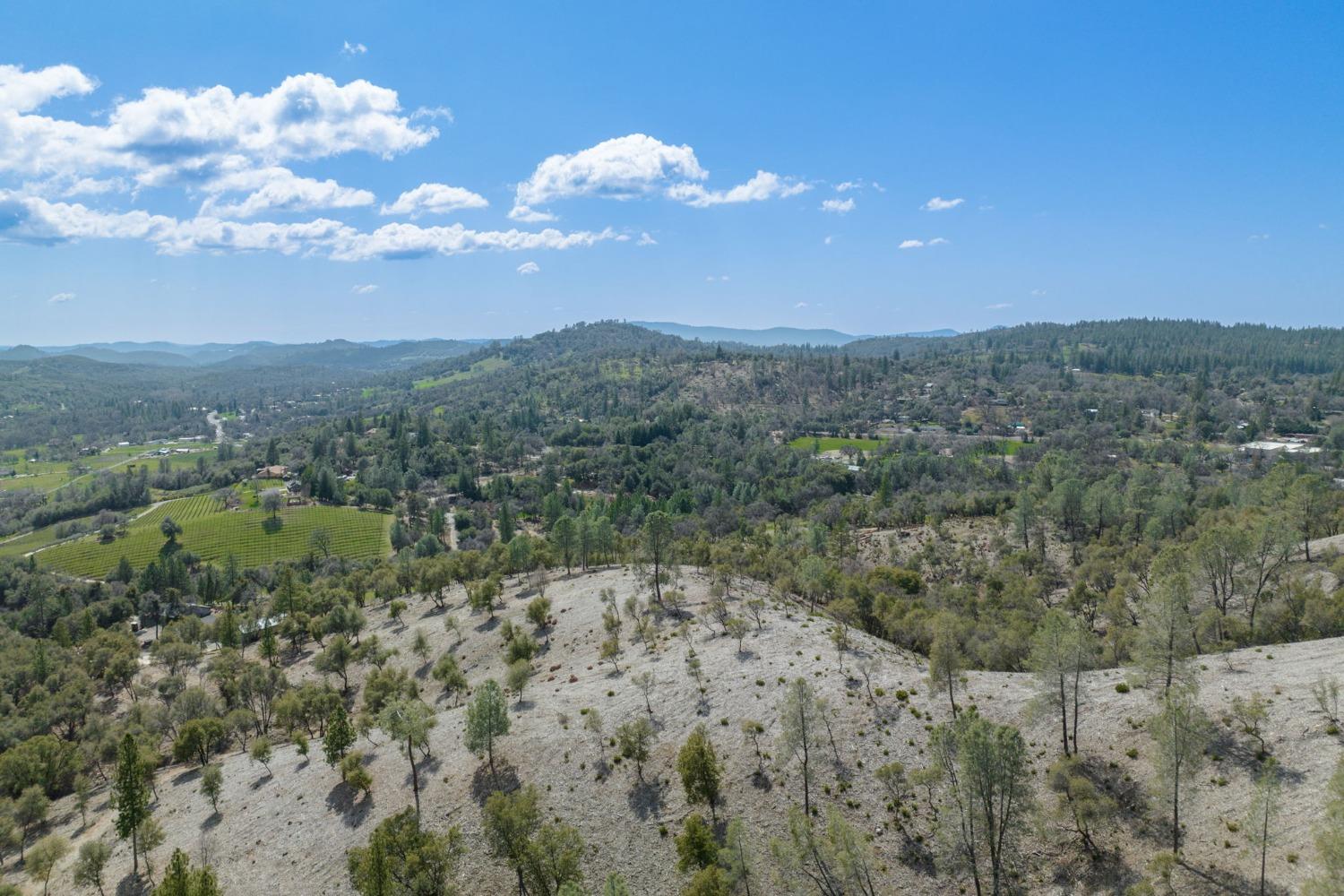 0 Woodland Drive, Murphys, California 95247, ,Land,For Sale,Woodland Drive,202300320