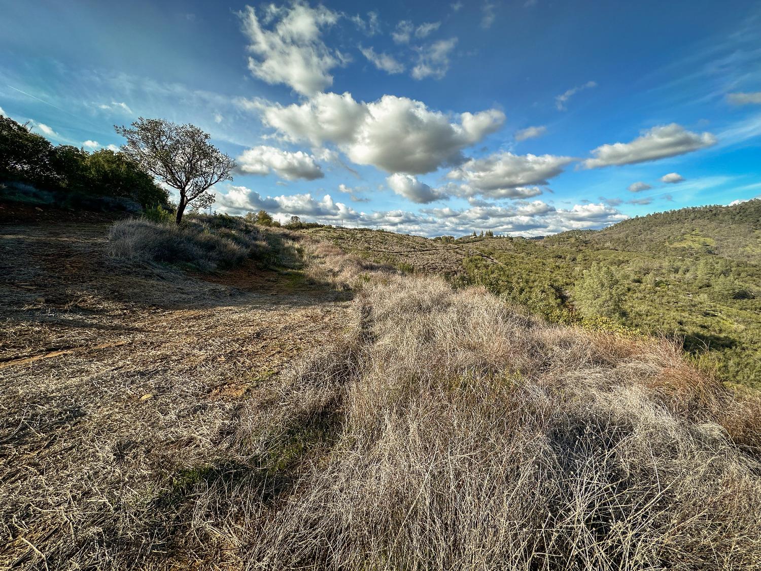 4905 Moaning Cave Road, Vallecito, California 95251, ,Land,For Sale,Moaning Cave,202300345