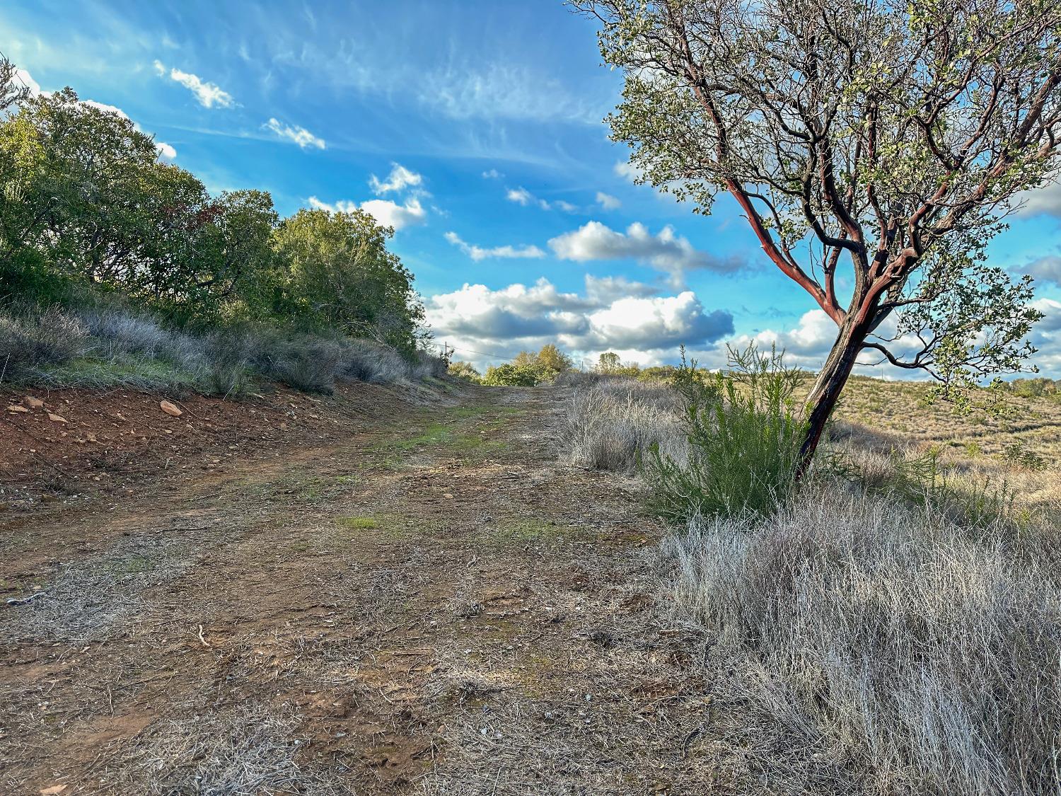 4905 Moaning Cave Road, Vallecito, California 95251, ,Land,For Sale,Moaning Cave,202300345