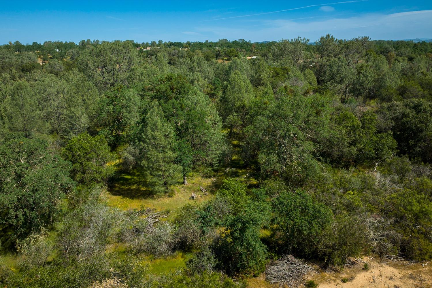 0 Pattison Rd Parcel B Road, Burson, California 95225, ,Land,For Sale,Pattison Rd Parcel B,202300348