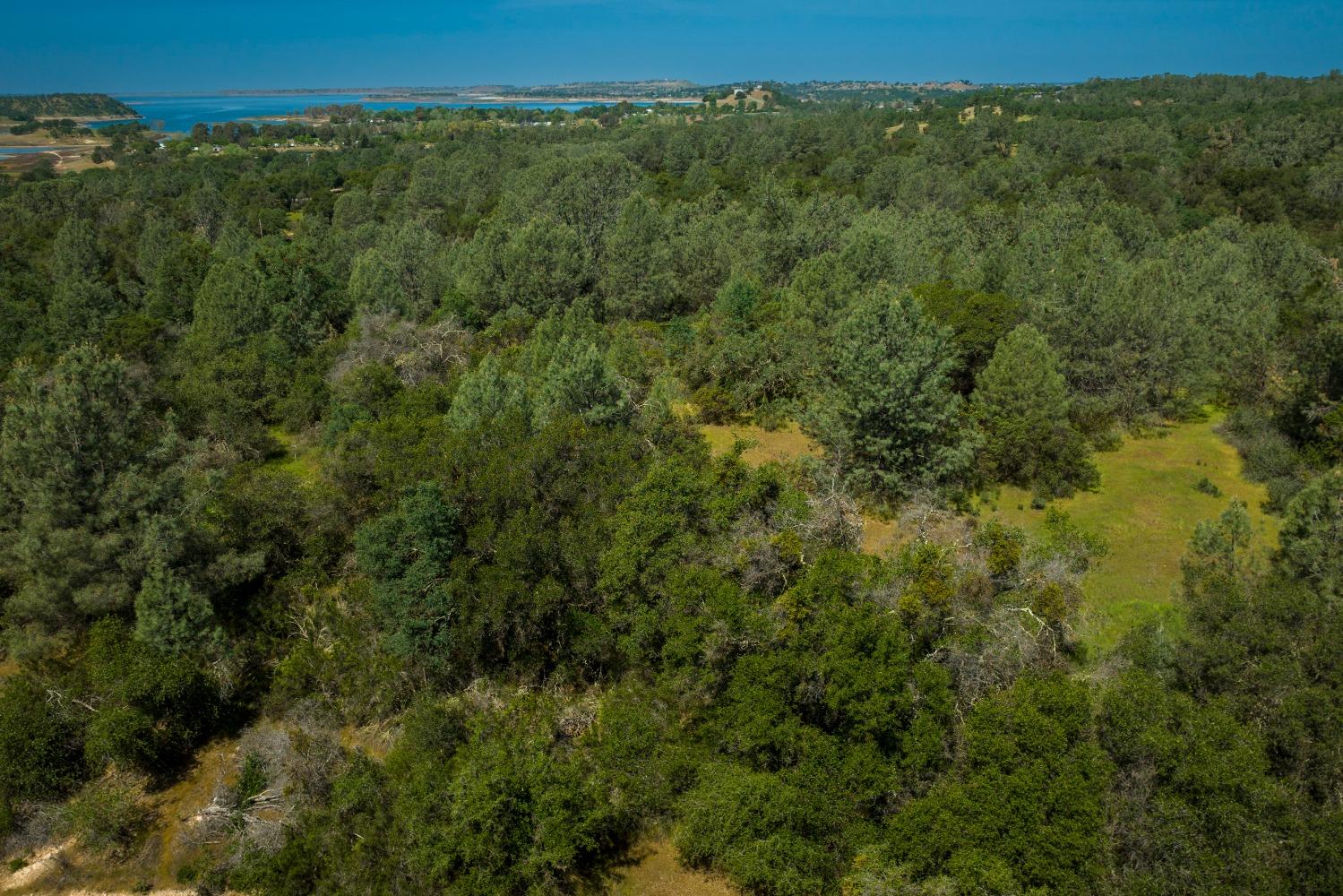 0 Pattison Rd Parcel B Road, Burson, California 95225, ,Land,For Sale,Pattison Rd Parcel B,202300348