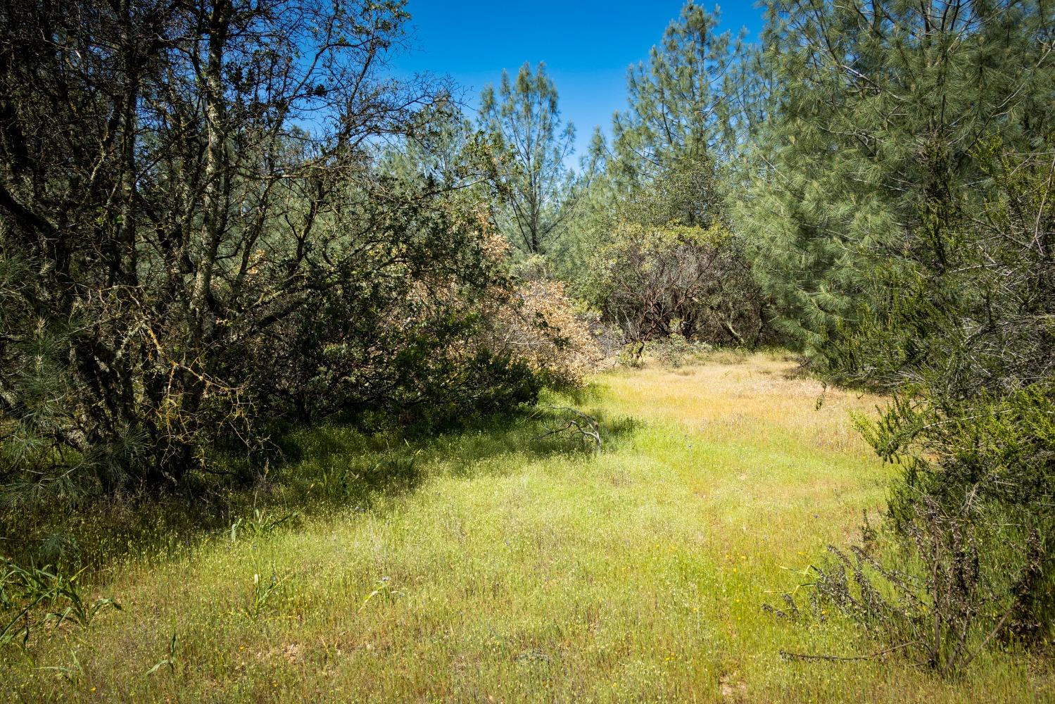 0 Pattison Rd Parcel B Road, Burson, California 95225, ,Land,For Sale,Pattison Rd Parcel B,202300348