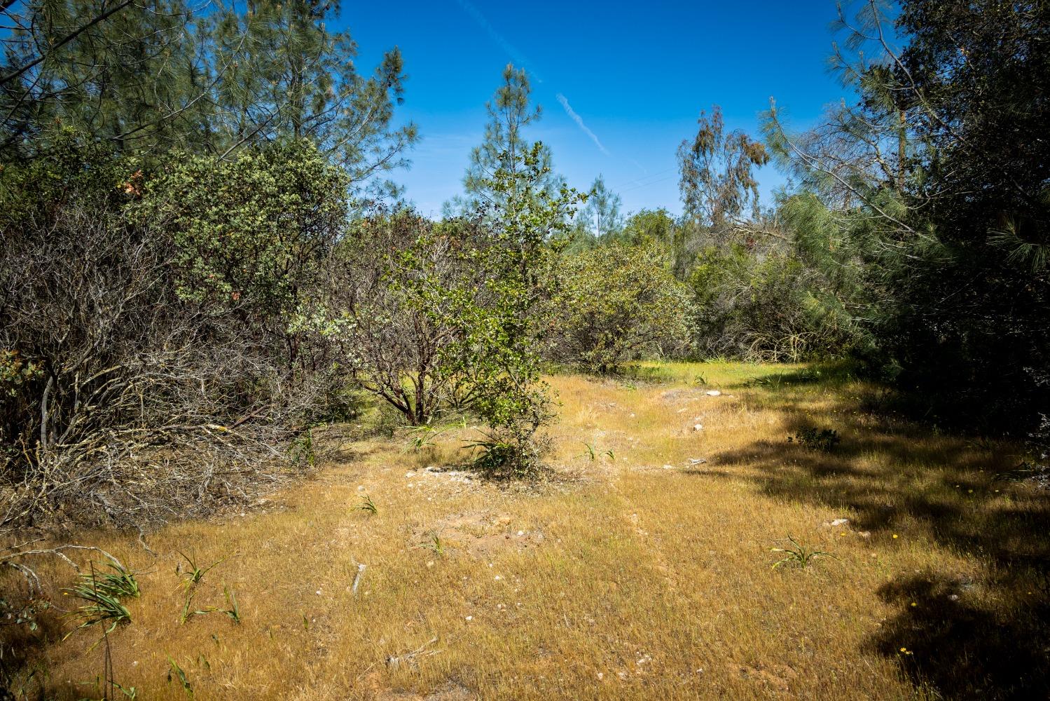 0 Pattison Rd Parcel B Road, Burson, California 95225, ,Land,For Sale,Pattison Rd Parcel B,202300348