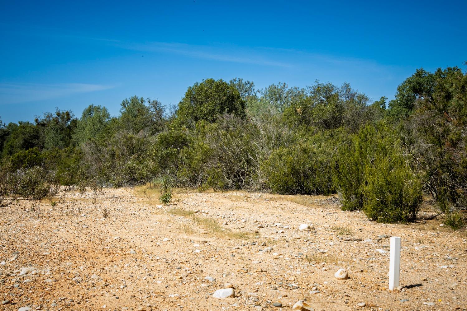 0 Pattison Rd Parcel B Road, Burson, California 95225, ,Land,For Sale,Pattison Rd Parcel B,202300348