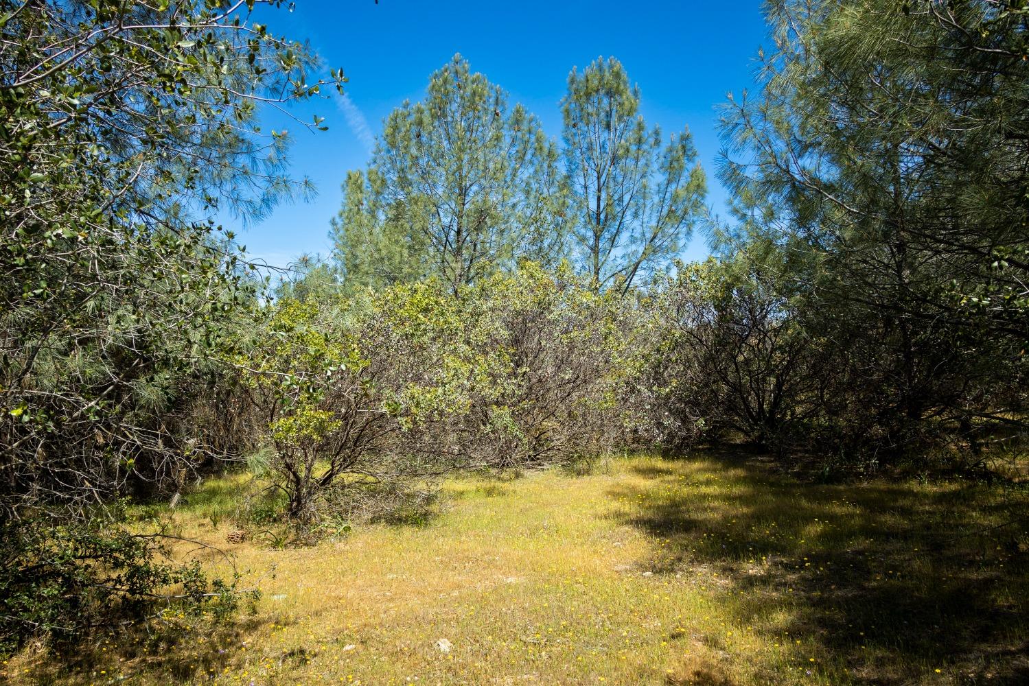 0 Pattison Rd Parcel B Road, Burson, California 95225, ,Land,For Sale,Pattison Rd Parcel B,202300348