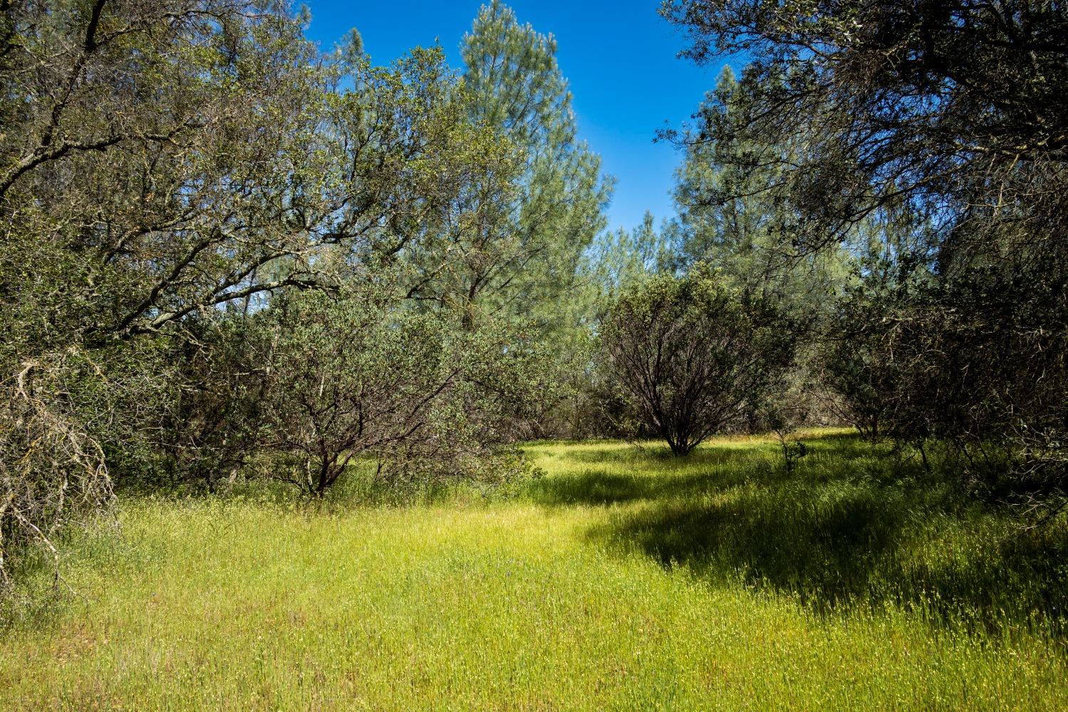 0 Pattison Rd Parcel B Road, Burson, California 95225, ,Land,For Sale,Pattison Rd Parcel B,202300348