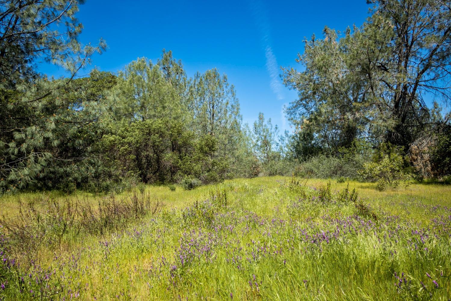 0 Pattison Rd Parcel B Road, Burson, California 95225, ,Land,For Sale,Pattison Rd Parcel B,202300348