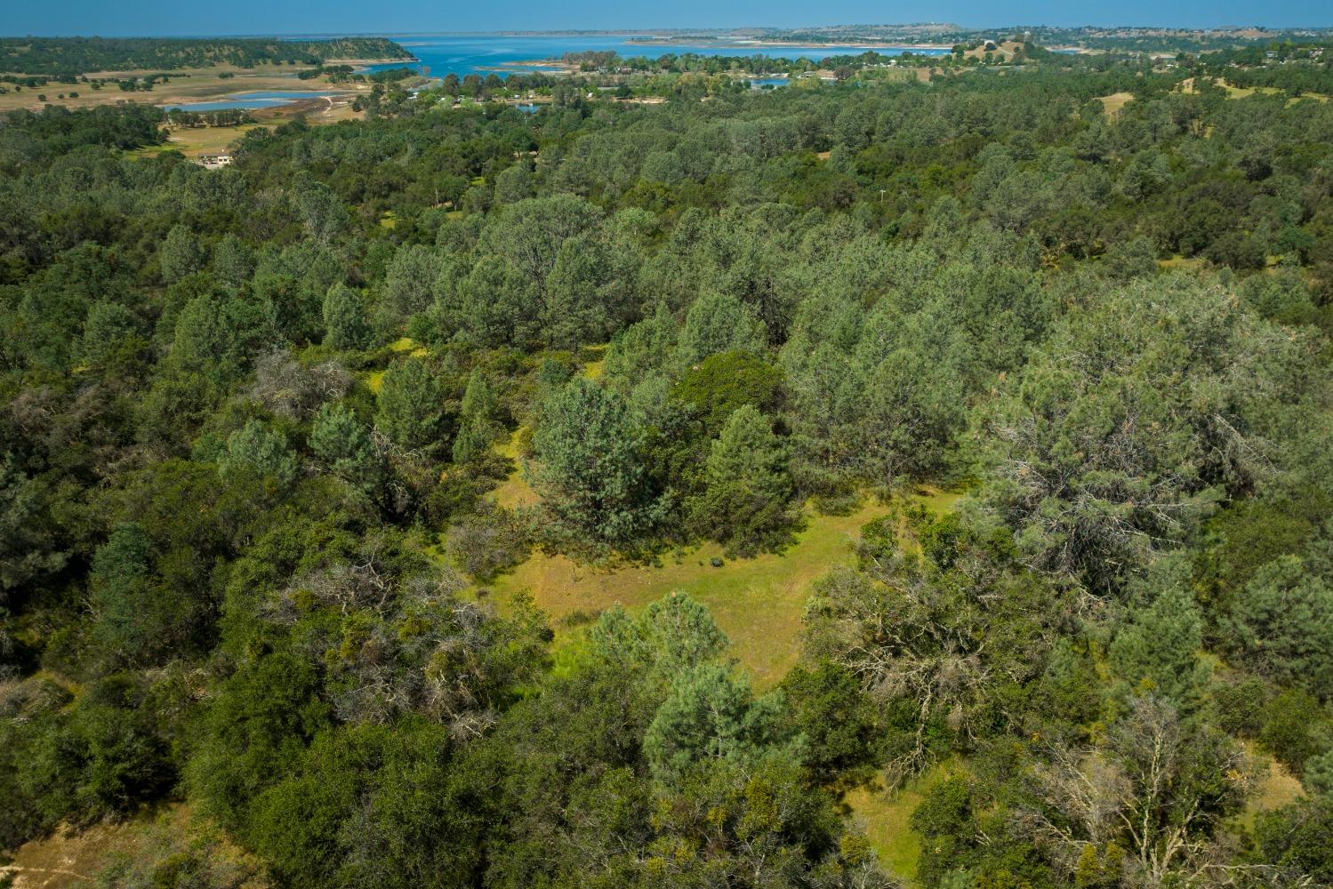 0 Pattison Rd Parcel B Road, Burson, California 95225, ,Land,For Sale,Pattison Rd Parcel B,202300348