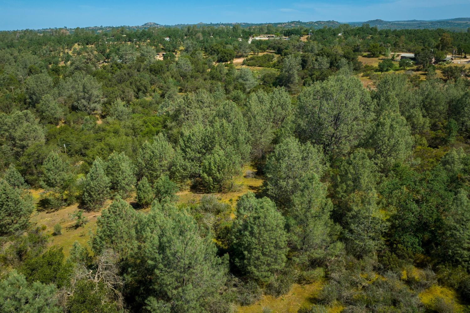 0 Pattison Rd Parcel B Road, Burson, California 95225, ,Land,For Sale,Pattison Rd Parcel B,202300348