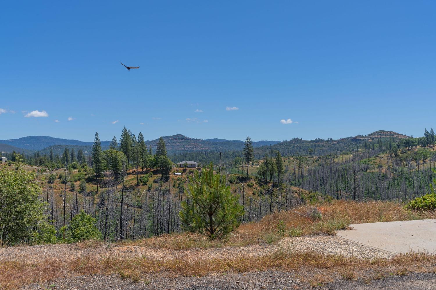 6914 Old Emigrant Trail, Mountain Ranch, California 95246, ,Land,For Sale,Old Emigrant,202300349